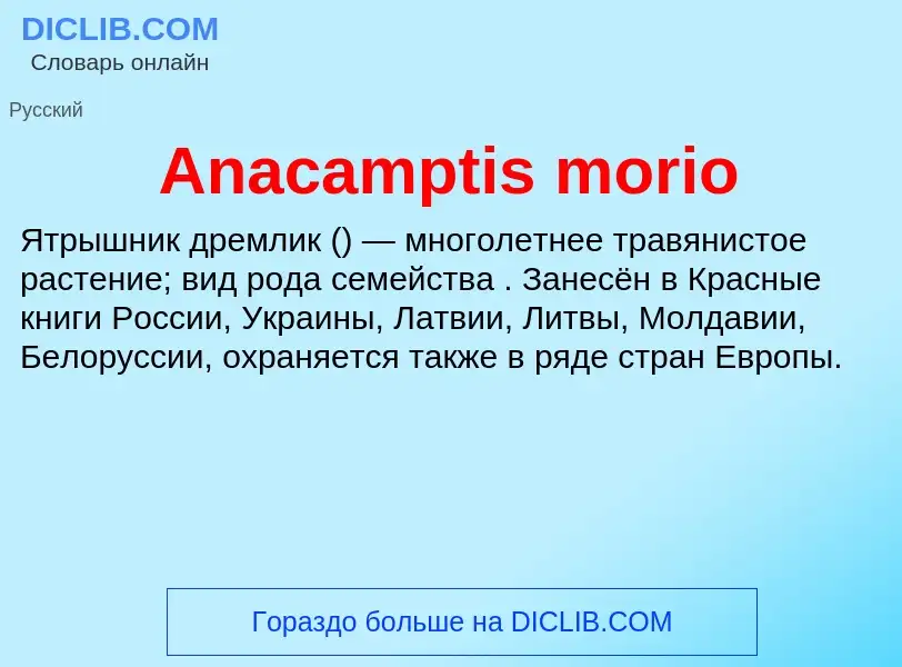 Τι είναι Anacamptis morio - ορισμός