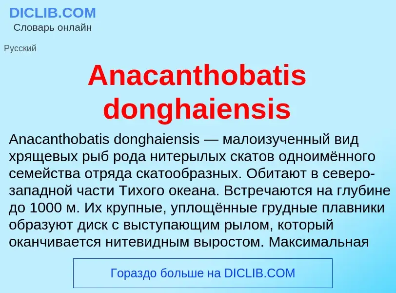 Τι είναι Anacanthobatis donghaiensis - ορισμός