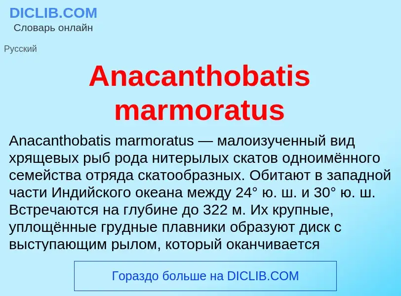 Τι είναι Anacanthobatis marmoratus - ορισμός