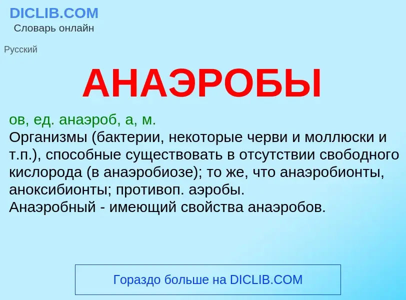 O que é АНАЭРОБЫ - definição, significado, conceito