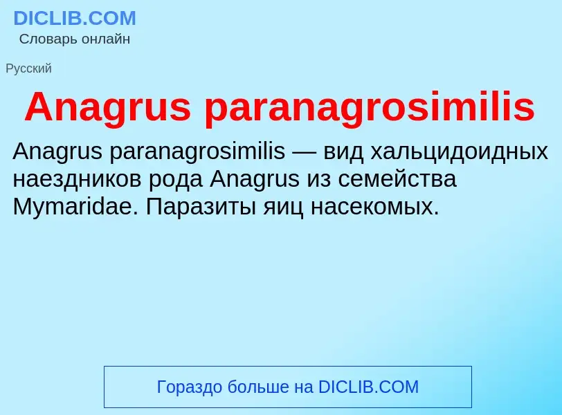 Τι είναι Anagrus paranagrosimilis - ορισμός