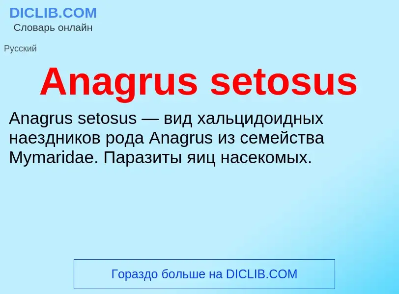 Τι είναι Anagrus setosus - ορισμός