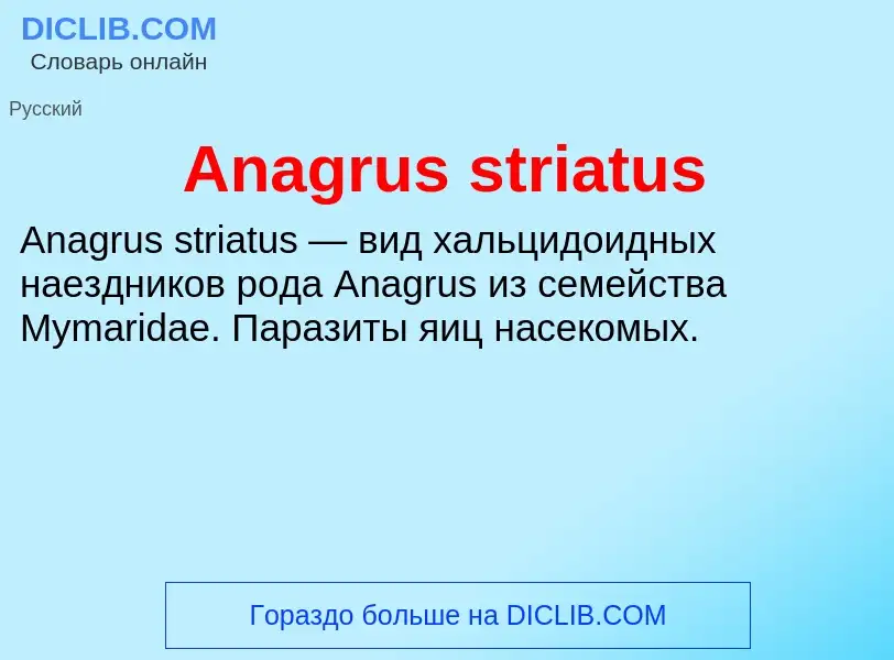 Τι είναι Anagrus striatus - ορισμός