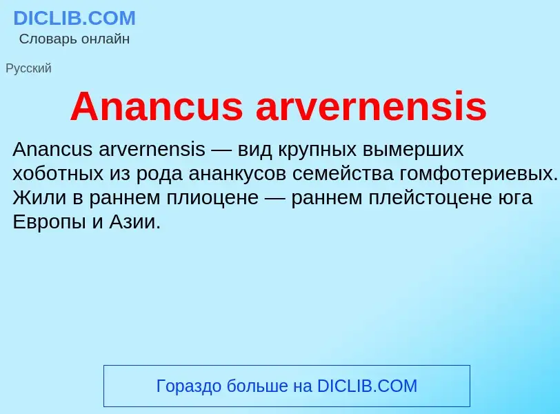 Τι είναι Anancus arvernensis - ορισμός