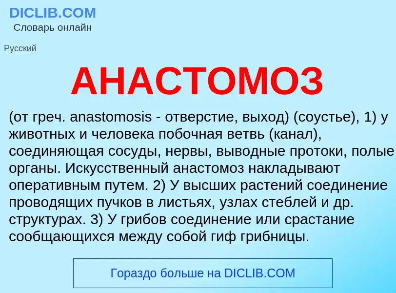 Wat is АНАСТОМОЗ - definition