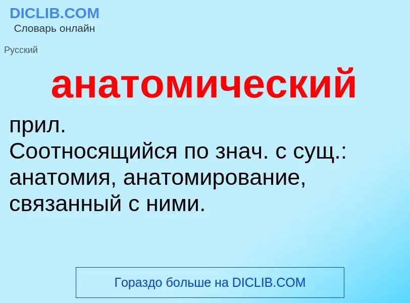 ¿Qué es анатомический? - significado y definición