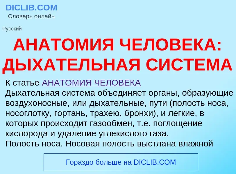 ¿Qué es АНАТОМИЯ ЧЕЛОВЕКА: ДЫХАТЕЛЬНАЯ СИСТЕМА? - significado y definición