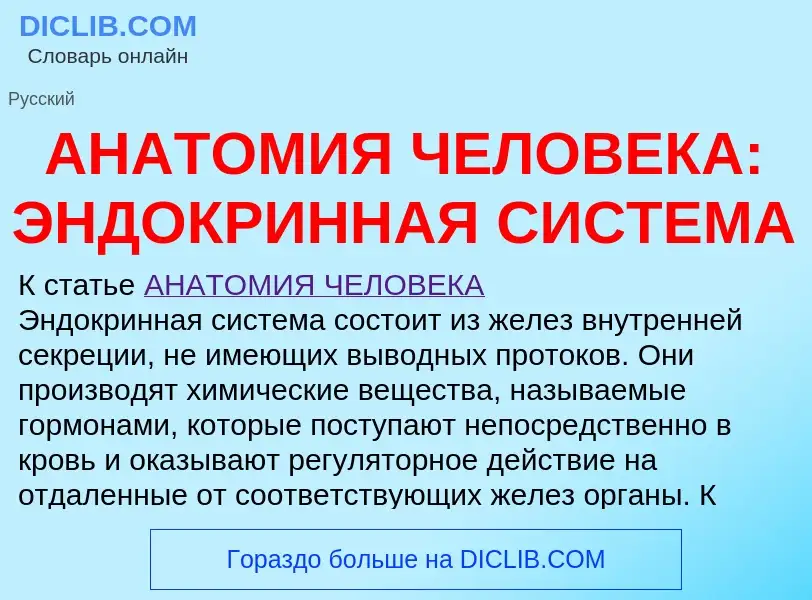 Что такое АНАТОМИЯ ЧЕЛОВЕКА: ЭНДОКРИННАЯ СИСТЕМА - определение