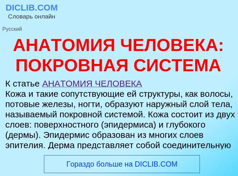 ¿Qué es АНАТОМИЯ ЧЕЛОВЕКА: ПОКРОВНАЯ СИСТЕМА? - significado y definición