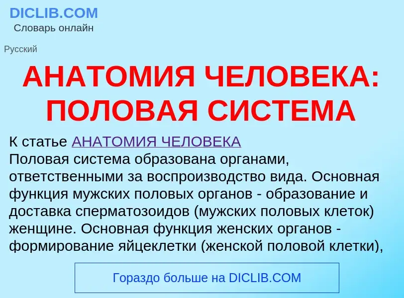 Qu'est-ce que АНАТОМИЯ ЧЕЛОВЕКА: ПОЛОВАЯ СИСТЕМА - définition