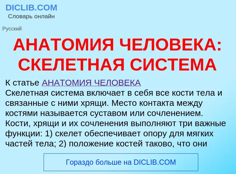 Что такое АНАТОМИЯ ЧЕЛОВЕКА: СКЕЛЕТНАЯ СИСТЕМА - определение