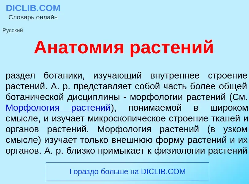 Что такое Анат<font color="red">о</font>мия раст<font color="red">е</font>ний - определение