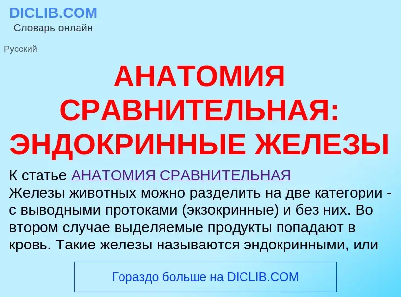 Qu'est-ce que АНАТОМИЯ СРАВНИТЕЛЬНАЯ: ЭНДОКРИННЫЕ ЖЕЛЕЗЫ - définition