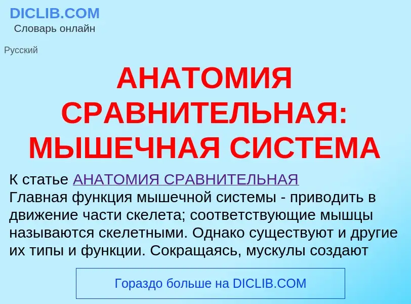 Was ist АНАТОМИЯ СРАВНИТЕЛЬНАЯ: МЫШЕЧНАЯ СИСТЕМА - Definition