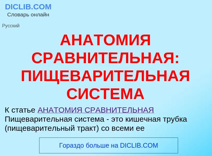 Qu'est-ce que АНАТОМИЯ СРАВНИТЕЛЬНАЯ: ПИЩЕВАРИТЕЛЬНАЯ СИСТЕМА - définition