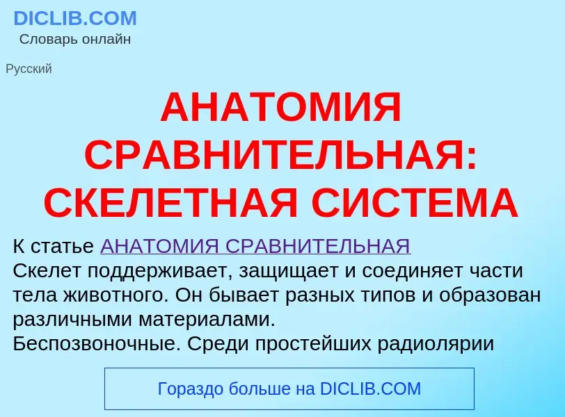 Qu'est-ce que АНАТОМИЯ СРАВНИТЕЛЬНАЯ: СКЕЛЕТНАЯ СИСТЕМА - définition