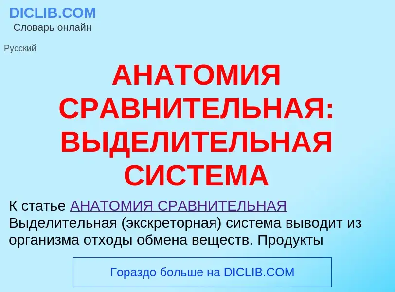 Was ist АНАТОМИЯ СРАВНИТЕЛЬНАЯ: ВЫДЕЛИТЕЛЬНАЯ СИСТЕМА - Definition