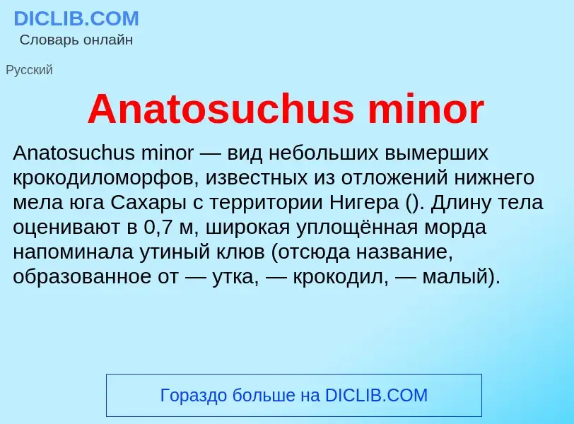 Τι είναι Anatosuchus minor - ορισμός