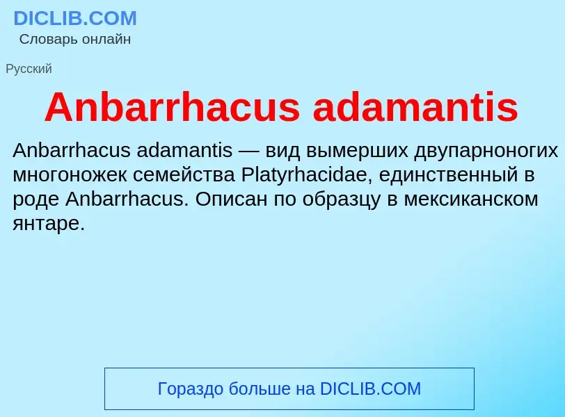 Τι είναι Anbarrhacus adamantis - ορισμός