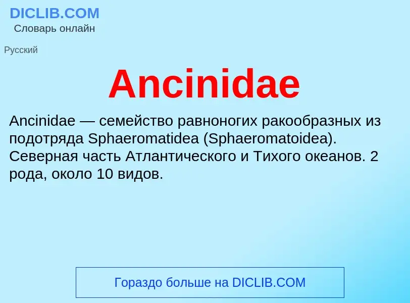 Τι είναι Ancinidae - ορισμός