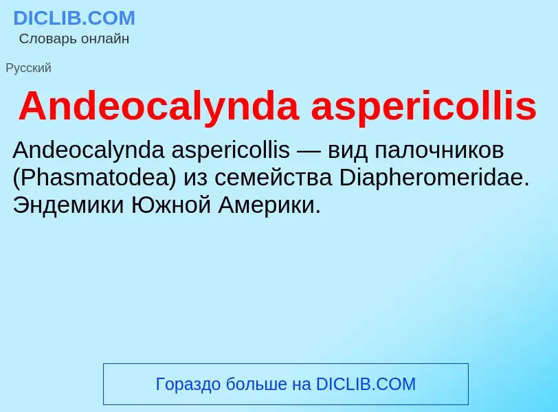 Τι είναι Andeocalynda aspericollis - ορισμός