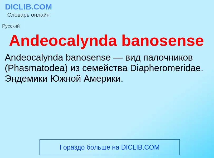 Τι είναι Andeocalynda banosense - ορισμός