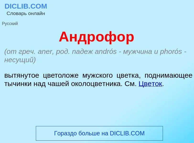 Что такое Андроф<font color="red">о</font>р - определение