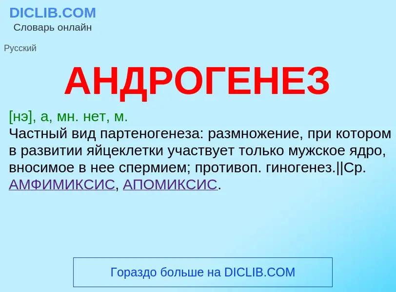 What is АНДРОГЕНЕЗ - definition