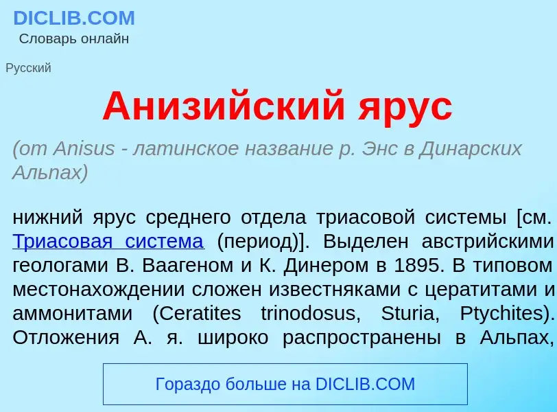 Что такое Аниз<font color="red">и</font>йский <font color="red">я</font>рус - определение