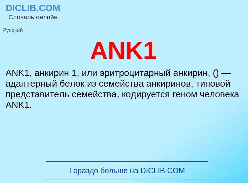 What is ANK1 - definition