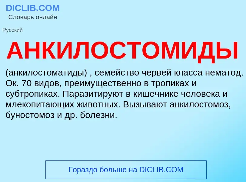 O que é АНКИЛОСТОМИДЫ - definição, significado, conceito