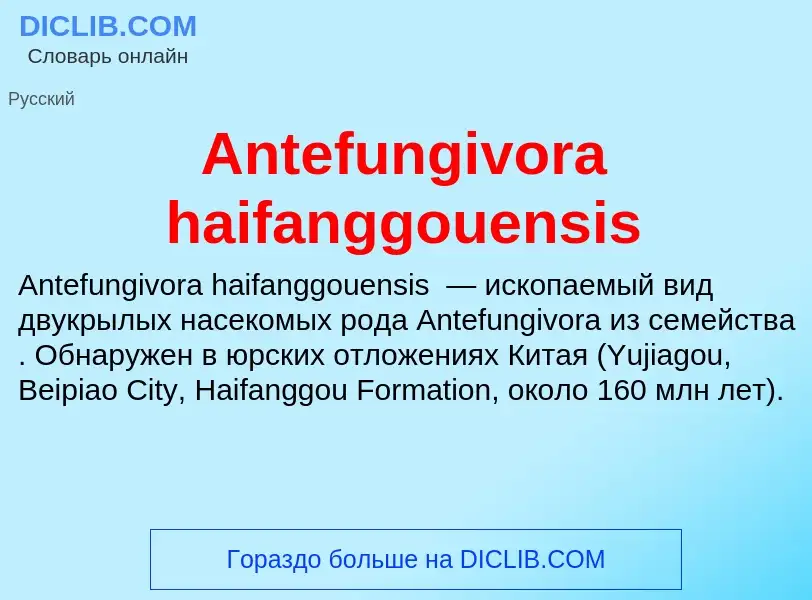 Τι είναι Antefungivora haifanggouensis - ορισμός