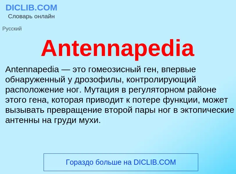 Τι είναι Antennapedia - ορισμός