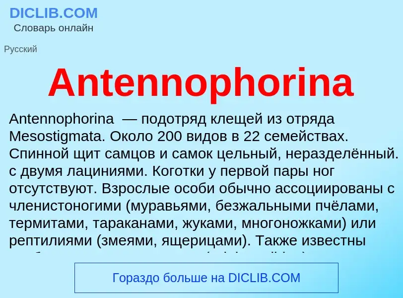 Τι είναι Antennophorina - ορισμός