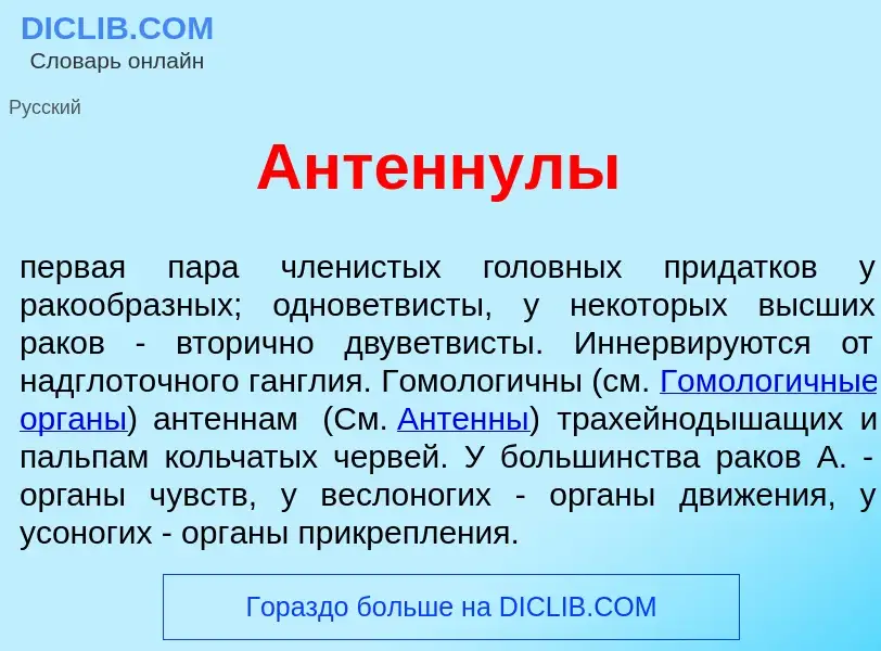 What is Ант<font color="red">е</font>ннулы - meaning and definition