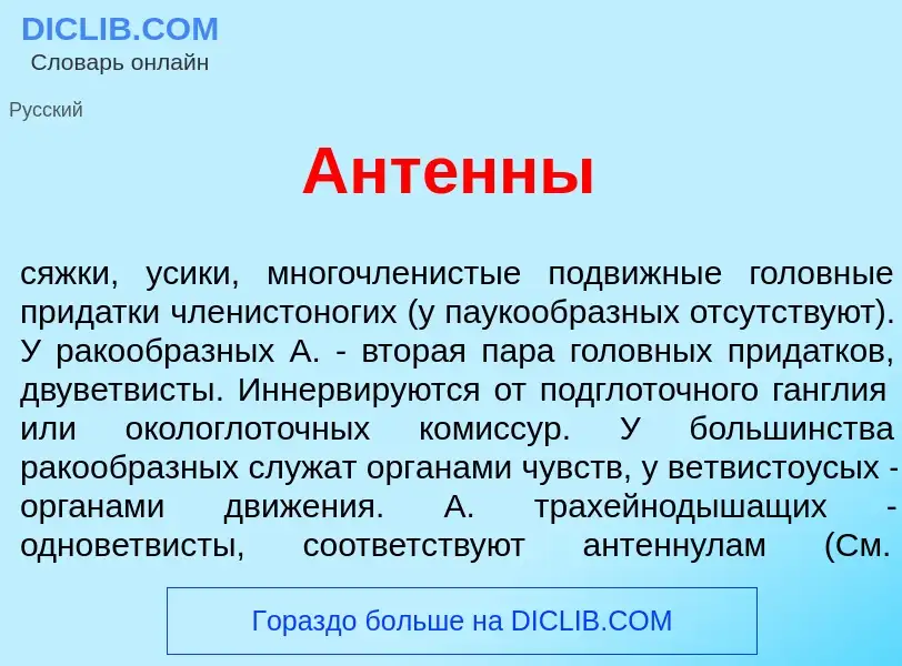 What is Ант<font color="red">е</font>нны - definition