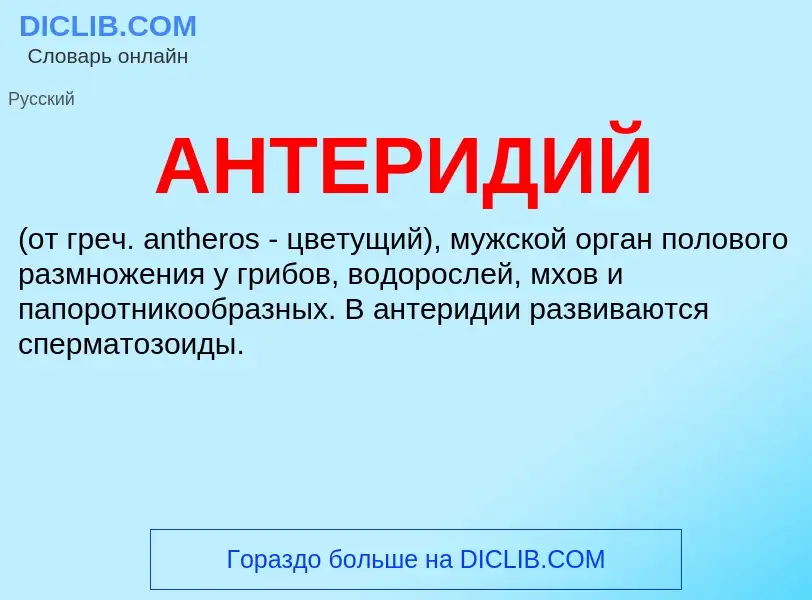 What is АНТЕРИДИЙ - definition