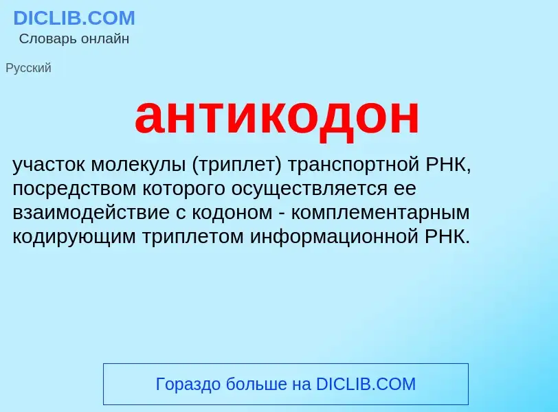 O que é антикодон - definição, significado, conceito