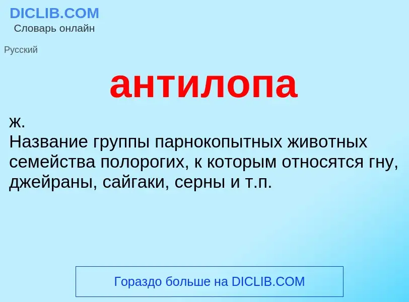 O que é антилопа - definição, significado, conceito