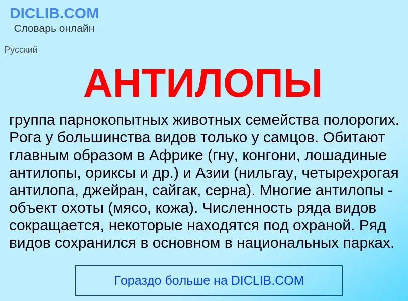 What is АНТИЛОПЫ - meaning and definition