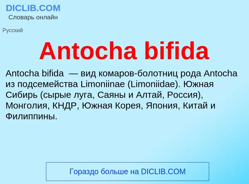 Τι είναι Antocha bifida - ορισμός