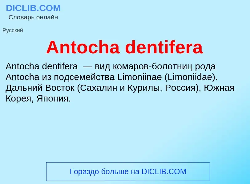 Τι είναι Antocha dentifera - ορισμός