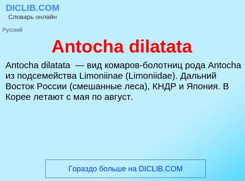 Τι είναι Antocha dilatata - ορισμός