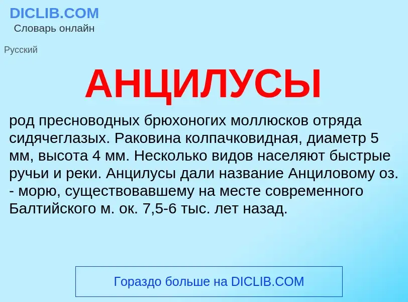 What is АНЦИЛУСЫ - definition