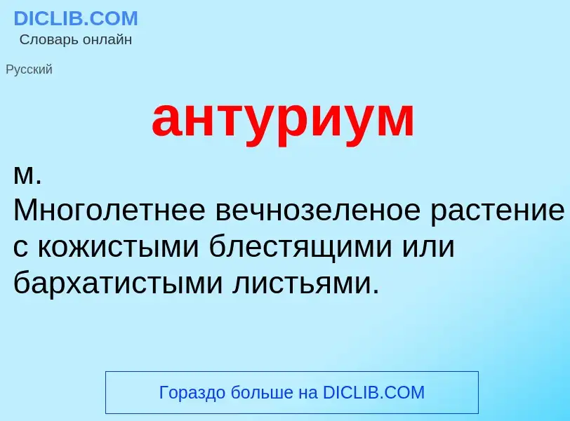O que é антуриум - definição, significado, conceito