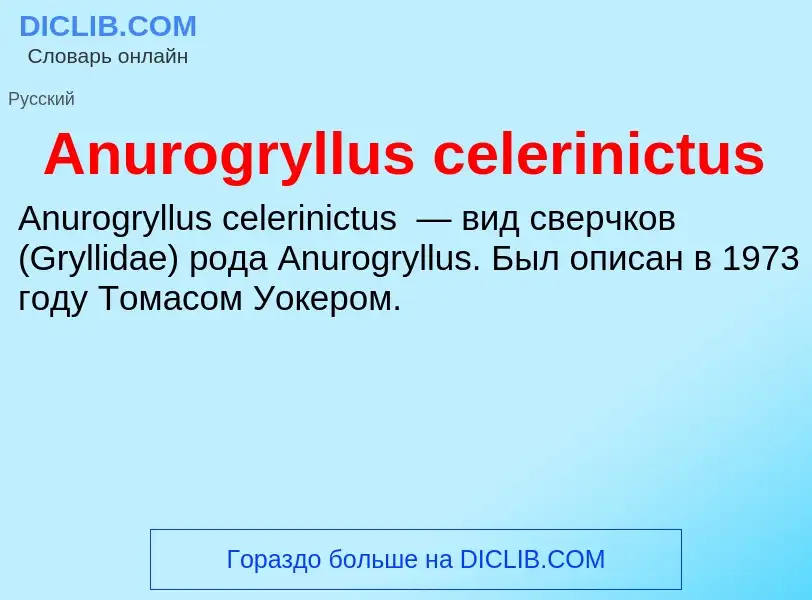 Τι είναι Anurogryllus celerinictus - ορισμός