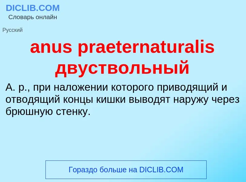 Was ist anus praeternaturalis двуствольный - Definition