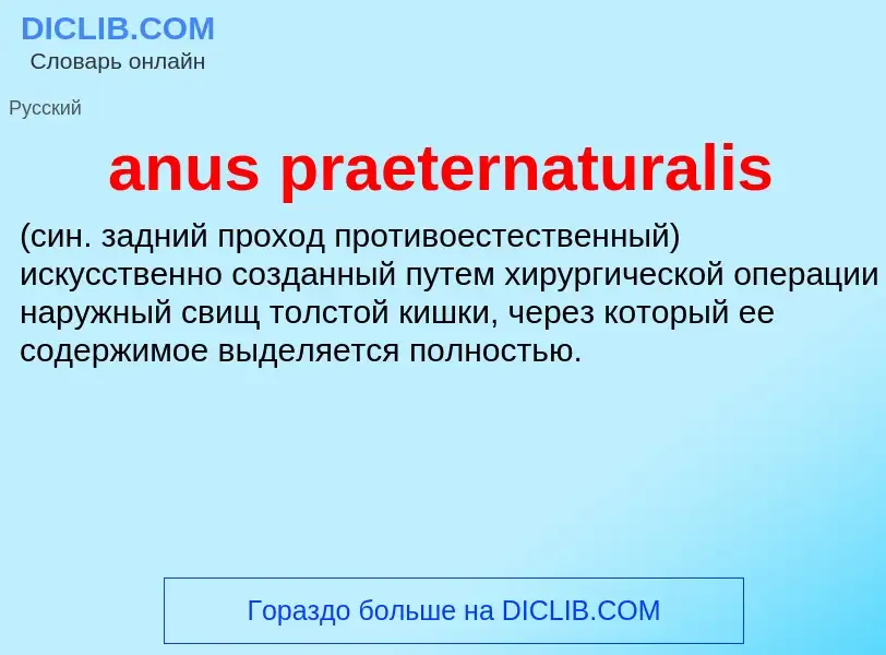 ¿Qué es anus praeternaturalis ? - significado y definición