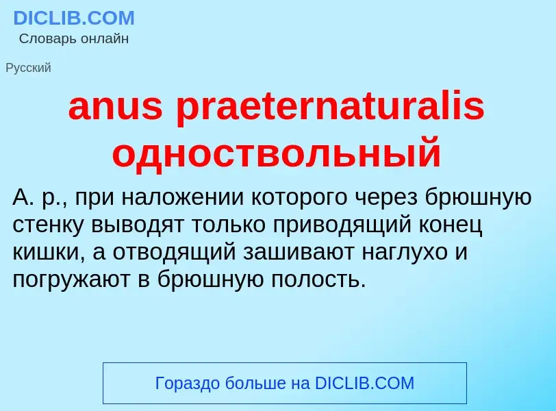 Che cos'è anus praeternaturalis одноствольный - definizione