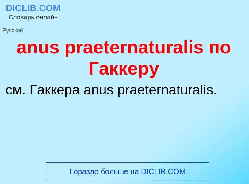 What is anus praeternaturalis по Гаккеру - definition